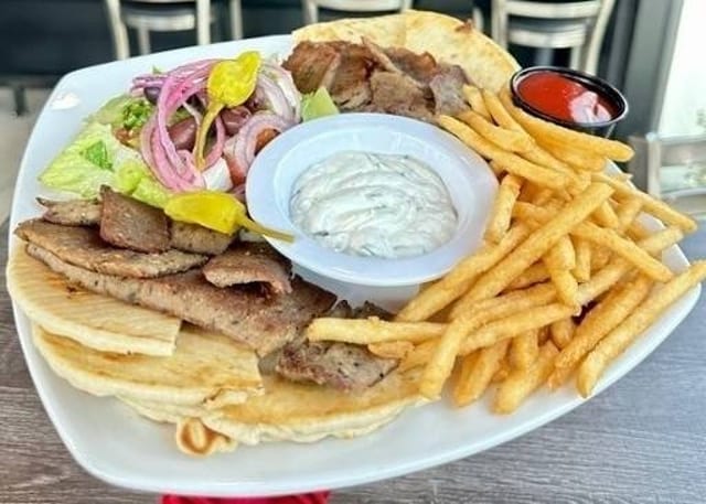 Gyro Plate.